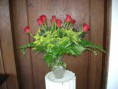 ARREGLO DE ROSAS